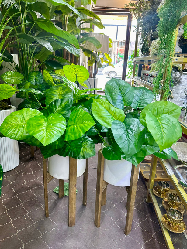 درختچه مصنوعی دیفن و برگ انجیری ۱۸برگ